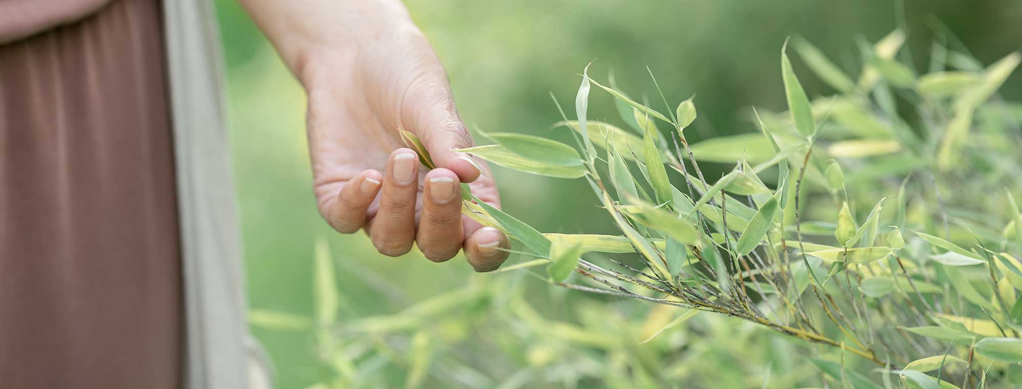 Green Loans for Energy Efficient Home Upgrades